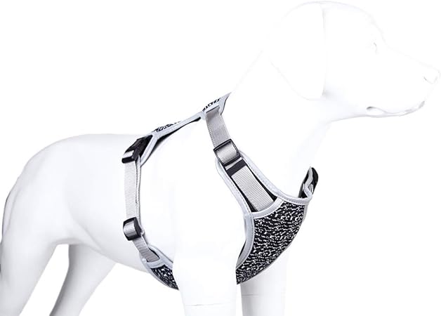 XDYFF Correr Chaleco Acolchado Perro Correas de Nylon ...