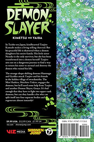 Demon Slayer: Kimetsu No Yaiba, Vol. 13