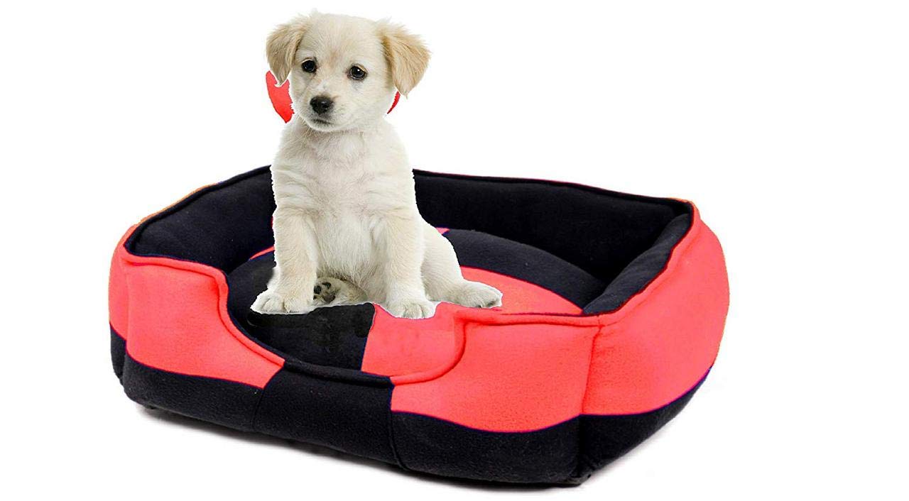 Petslover Ultra Soft Red & Black Color Fleece Fabric Polyester Filled Sofa Reversible Dog/Cat Beds (Export Quality) -XXL
