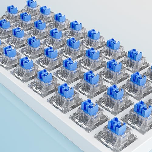 Image of Outemu 20 Pcs Clickers for 3D Prints,Crystal Blue Keyboard Switches | Crisp click sound,Pre-lubed,Dustproof,3-pin Blue Switch,Suitable Replacement Part for 3D Printed Clicker Fidget Spinners