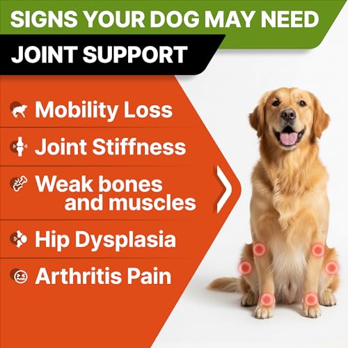 Glucosamine Treats for Dogs - Joint Supplement w/Omega-3 Fish Oil - Chondroitin, MSM - Advanced Mobility Chews - Joint Pain Relief - Hip & Joint Care - Chicken Flavor - 120 Ct - Made in USA