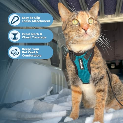 Image of Voyager Escape-Proof Step-in Lock Cat Harness & 5ft Neoprene-Handle Leash Set All-Weather Mesh with Reflective Stitching for Small to Large Cats by Best Pet Supplies, Turquoise /Black Trim, XXXS