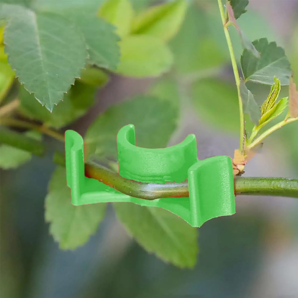 Fabrieksbeugelclips - Bud Trainer 40-delig voor kas en binnenplaats Fabrieksbeugelclips - Bud Trainer 40-delig voor kas en binnenplaats
