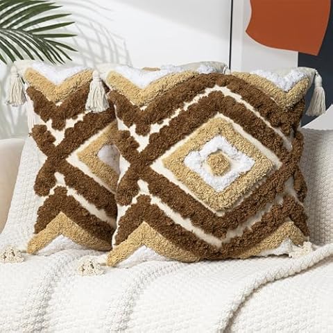 AELS Decorative Pillow Covers Set of 2 Cover