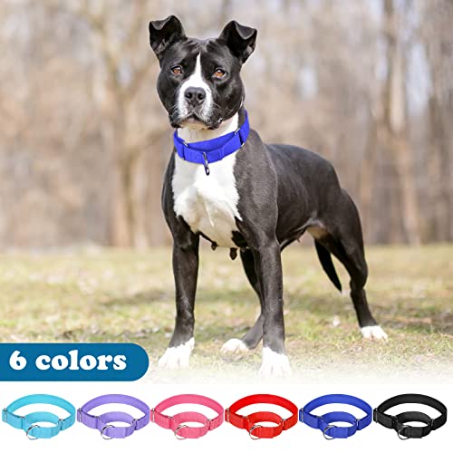 6 Pcs Martingale Collar For Dogs Reflective Dog Collar With Metal Buckle Adjustable Nylon Pet Collar Prevent Slipping Out Puppy Collars For Dog (Sky Blue, Red, Orange, Pink, Purple, Black, Medium) #TOP5