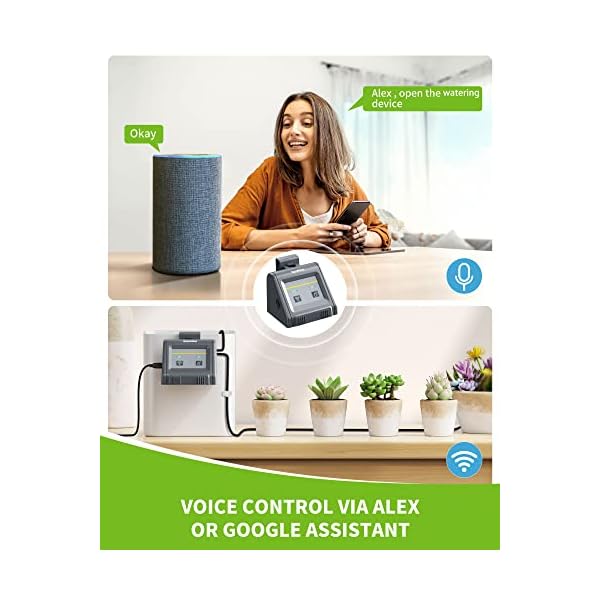 RAINPOINT WiFi Automatic Watering System For Indoor Potted Plants, DIY ...