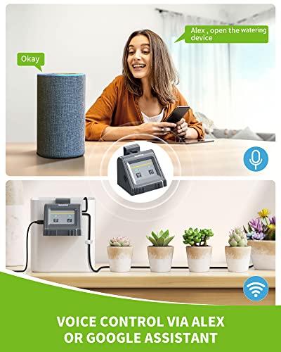 RAINPOINT WiFi Automatic Watering System For Indoor Potted Plants, DIY ...