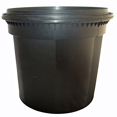 Preisvergleich Produktbild OASE 24461 Behälter FiltoClear 6000