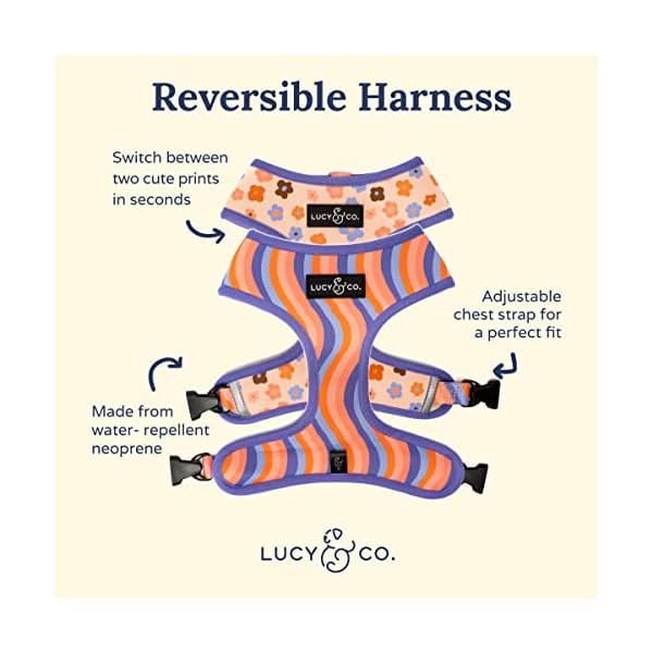 Lucy & Co. Cute Reversible Dog Harness Walking Halter – Best Designer Pet Harnesses for XS – XL Dogs – Padded Adjustable Vest for Easy Walking (Medium, Purple with Coral Floral Wave) Lucy & Co. Cute Reversible Dog Harness Walking Halter – Best Designer Pet Harnesses for XS – XL Dogs – Padded Adjustable Vest for Easy Walking (Medium, Purple with Coral Floral Wave)