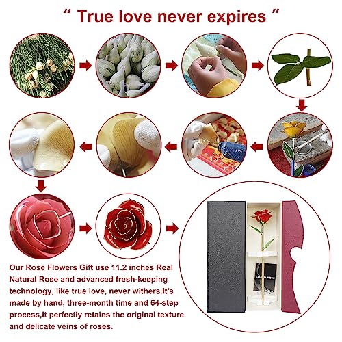Gold Dipped Rose, 24K Gold Rose,Long Stem 24K Gold Dipped Rose Lasted Real Roses With Stand,Romantic For Her,Girlfriend,Mom,Wife For Valentine's Day/Mothers Day/Christmas/Birthday #TOP5