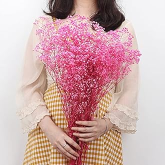 Natural Dry Flower Gypsophila Fresh Dried Preserved Flowers Gypsophila Paniculata Breath Flower Bouquets For Wedding Party Home Dekoration (white,30-40cm30g)