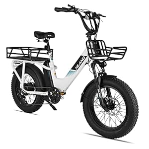 HILAND 20 inch Fat Tire Cargo E-bike voor dames en heren, krachtige 48 V motor 15 Ah batterij, elektrische fiets, 7 versnellingen, licht aluminium frame met verende voorvork, bagagedrager