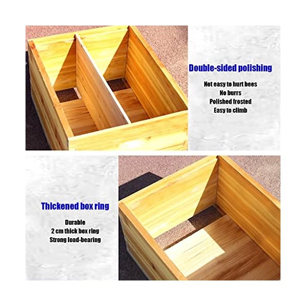HYJBGGH Bienenhaus Flow Hive, 10 Rahmen Holz Outdoor Bienenstock Bienenkasten, w/10 Nestrahmen, Imkereibedarf Ausrüstung… – Bild 4