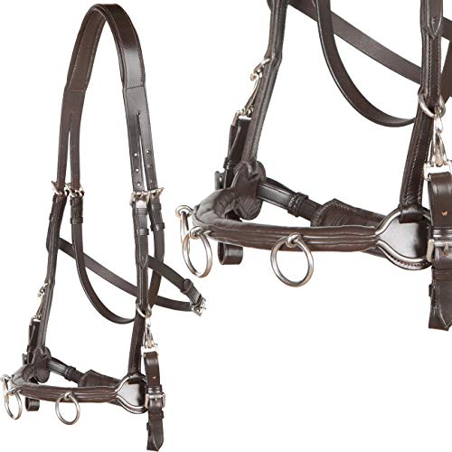 Kappzaum Mit Gebisseinhängung Für Pony - Leder Schwarz VB/WB