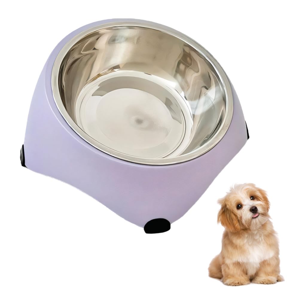15° Tilted Elevated Dog Bowl,Stainless Steel Detachable Pet Cat Food Bowls with Non-Slip Base for Small Medium Large Dogs and Cats