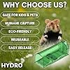 Humane Mouse Traps, 4 X Mouse Traps For Indoors, Mouse Traps, Pets and Family Friendly, Reusable Live Mice Trap, Effective and Highly Sensitive Catcher, Easy To Use By Hydro.