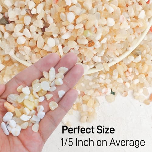 Image of CJGQ 2.4lb Aquarium Gravel for Plants,1 /5 Inch Natural Decorative River Rocks for Succulent and Cactus Landscaping, Natural Small Rocks for Fish Tanks, Vases & Terrariums