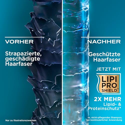 OGX Renewing Argan Oil of Morocco Shampoo (385 ml), regenerierendes Haarshampoo mit marokkanischem Arganöl, Haarpflege für trockenes Haar, ohne Sulfate & Parabene