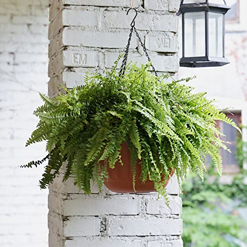 Yikush 4332685279 Hanging Planter For Indoor And Outdoor Plants 2 Pack 12 Inch Flower Pot Plastic Plant Pot thumb #3