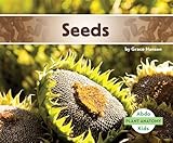 Seeds (Plant Anatomy)