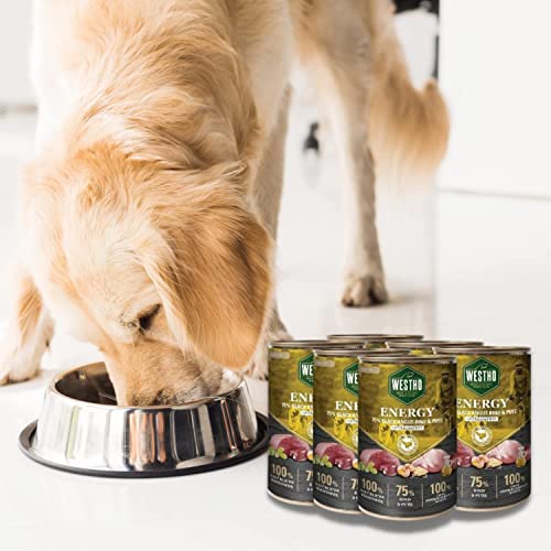WESTHO Nassfutter Energy Adult (6 x 400g) | 75% Black-Angus-Rind und Pute | Lebensmittelqualität | Getreidefrei | Für ausgewachsene Hunde | Premium HundeWESTHO Nassfutter mit extra viel Fleisch
