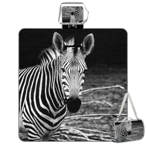 Shimoshe Picnic Blankets 57”x 59”, Modern Art Zebra Pattern Waterproof Sandproof Picnic Mat Lightweight Foldable Beach Blanket for Camping Park Grass Beach Outdoor Blanket