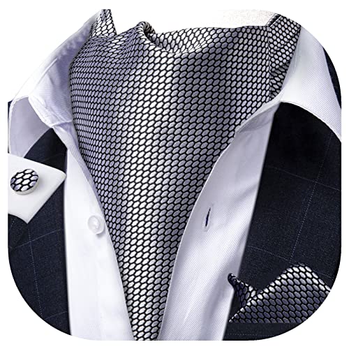 Image of DiBanGu 3PCS Ascot Ties for Men Wedding Jacquard Woven Silk Ascot Cravat for Men Cravat Tie and Pocket Square Set
