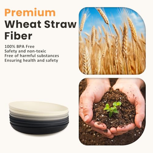 Image of Homienly Premium Wheat Straw Dinner Plates, Reusable 8 PCS Unbreakable Plates 10 inch Plate Set, Alternative Plastic Plate Microwave and Dishwasher Safe Plates Set for Home - GreyStone