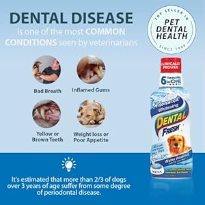 Dental Fresh Advanced Whitening Water Additive 17oz  Dog Breath Freshener Formula to Hep Overall Dog Dental Care and Brighten Teeth  Cucciolini Doodles Dental fresh advanced whitening water additive 17oz  dog breath freshener formula to hep overall dog dental care and brighten teeth   cucciolini doodles