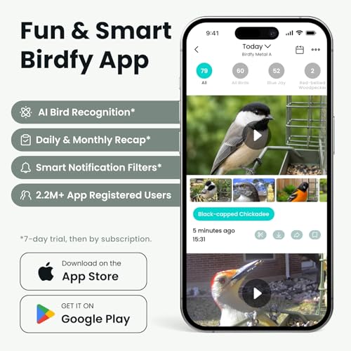 Image of Birdfy Smart Bird Feeder with Camera Solar Powered, Gift for Bird Lovers