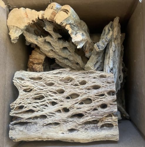 BioactiveFX Teddy Bear Cholla Wood Shards &ndash; Natural Hermit Crab Treats & Habitat Enrichment for...