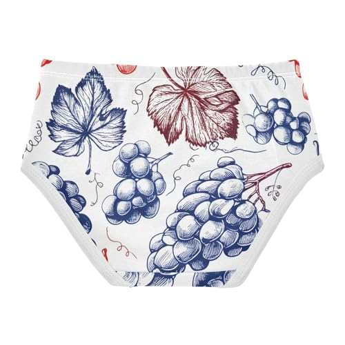 Vintage Red Blue Grape White Girls Underwear Toddlers 2t Cotton Panties for Girl Flower Kids Briefs Undies2
