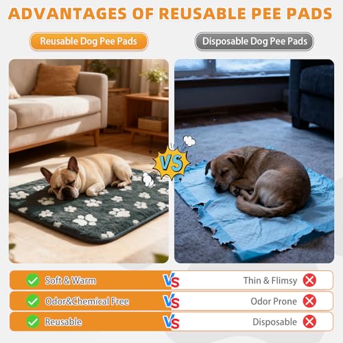 Image of KOOLTAIL Washable & Waterproof Dog Whelping Pad for Large Dogs, 72x72in Super Absorbent & Soft Warm Plush Puppy Pads Potty Training, Quick Dry Reusable Pet Mats for Whelping Box Supplies,Playpen,Crate