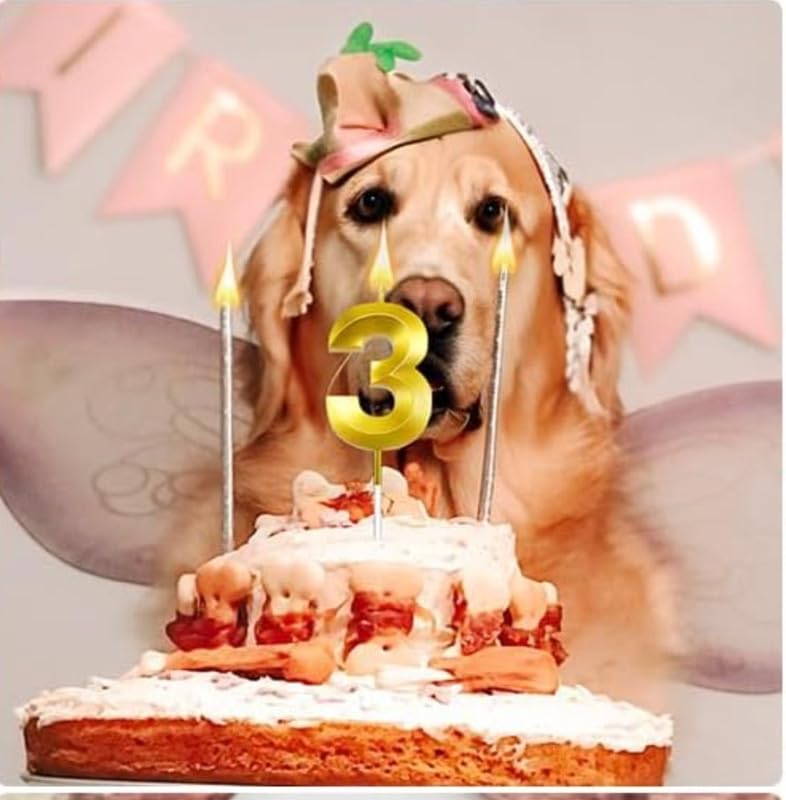 Image of Number Candles 3 inch for Birthday, Wedding, Engagement, Valentines Day Celebration, Theme Party, Bridal Shower Decoration Gold (Numerical No 3)