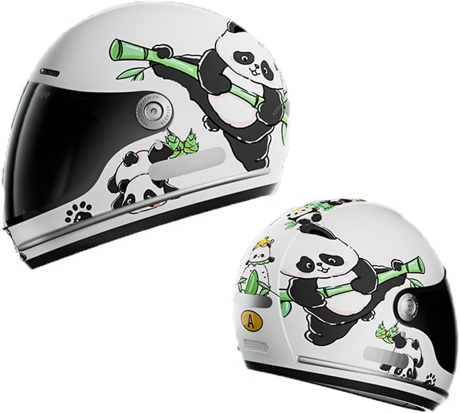 Youth & Kids Cute Full Face Helmet for Skateboardi, 4-12 Years DOT Certified Children Cartoon Motorbike Helmet, Motorcycle Outdoor Sport Electric Street Cruiser ATV Moped Scooter Helmet