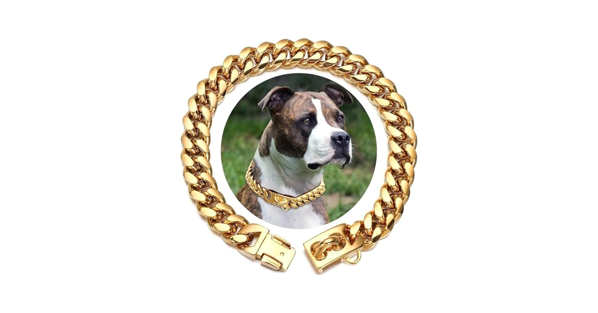 Gouden Hondenketting - Roestvrijstalen Choke Halsband Met Veilige Gesp | Kauwbestendig & Zwaar Belastbaar