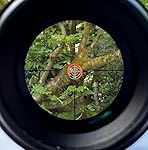 Review Image by J. Clark J. Clark