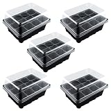 ajo distancia de siembra Después de que las semillas germinan debe abrir rápidamente la tapa transparente, aumentar la ventilación, reducir la humedad, es propicio para las plántulas de prevención de enfermedades.