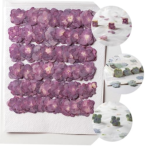 Flores secas prensadas PRETYZOOM 30 piezas para manualidades miniatura 2
