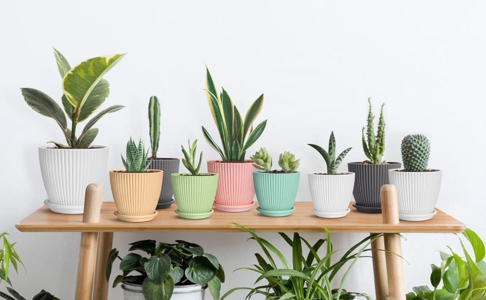 LISHONN Plastic Round Flower Pots for Home Planters, Terrace, Garden Etc | Pack of 05 | Multicolor | Suitable for Home Indoor & Outdoor Gardening Plants