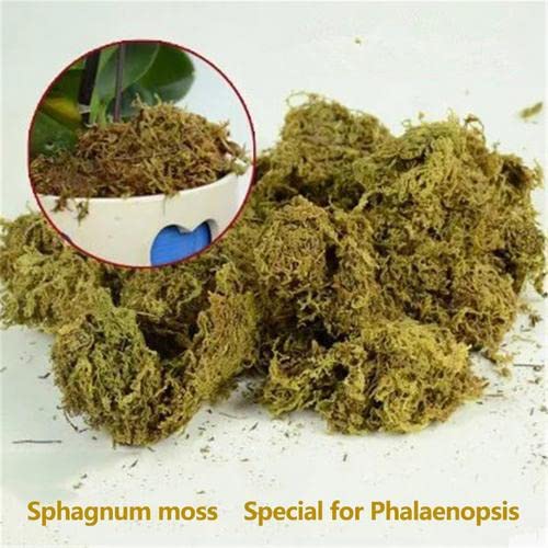 Muschio di sfagno secco da giardino 12L - woyufen - Muschio di sfagno secco - Phalaenopsis - Orchidea