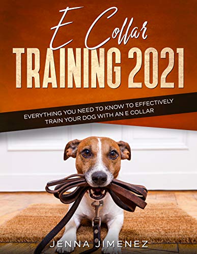 E Collar Training 2021: Everything You Need to Know to Effectively Train Your Dog with an E Collar