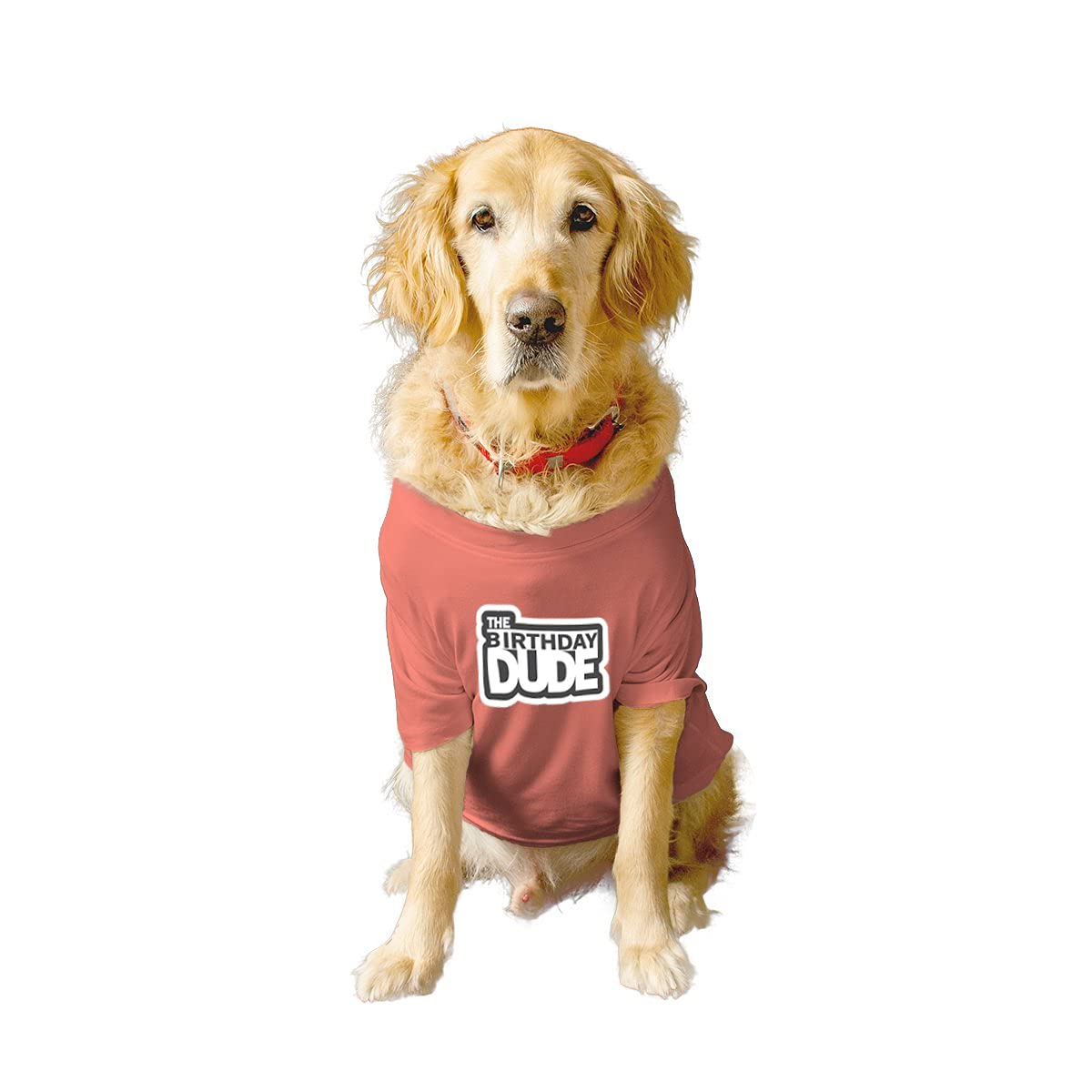 Ruse Basic Crew Neck The Birthday Dude Printed Half Sleeves/Apparel/Clothes/T-Shirt Gift for Dogs.Colour-Salmon/X-Large (Full Grown Retrievers, Labs etc.) (B0979BKMFJ) Amazon Price History, Amazon Price Tracker