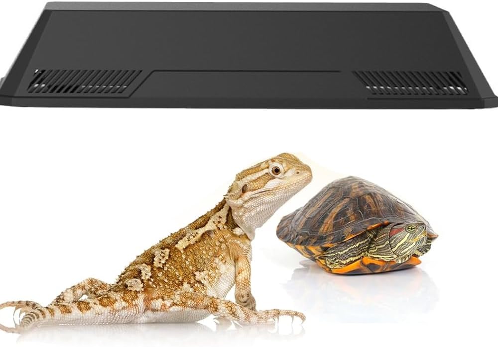 爬虫類ランプ、登山ペットカメサンバックランプ、ダブルランプシェード、LED爬虫類ライト、トカゲ、クモ、宮殿の警備、ヘビ、カメ、サソリ