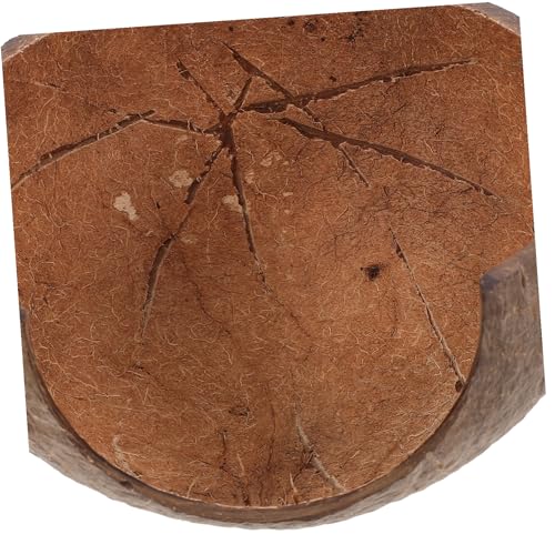 ibasenice ঒ރVF^[ RRibc琻 B VRؑf |ȒP ȋxeꏊ  hJ gJQ JKp RȊOς̐n