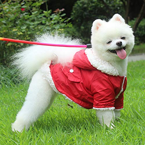 EMUST Dog Winter Coat, Dog Coats for Small Dogs Winter, Winter Dog Hoodie with Pockets, Warm Dog Clothes for Small Dogs… - Image 7