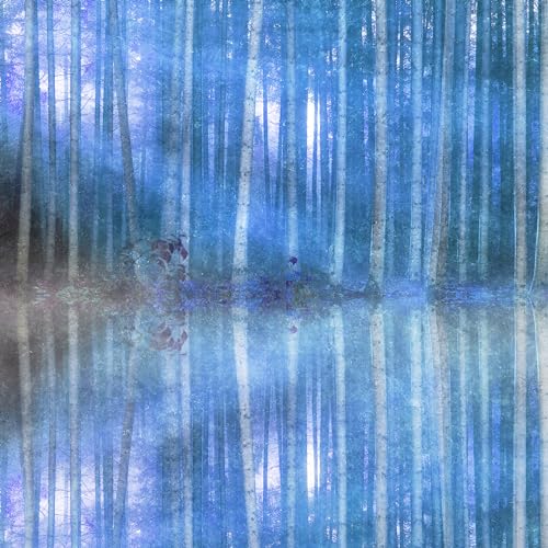 Bára Bjarkardóttir