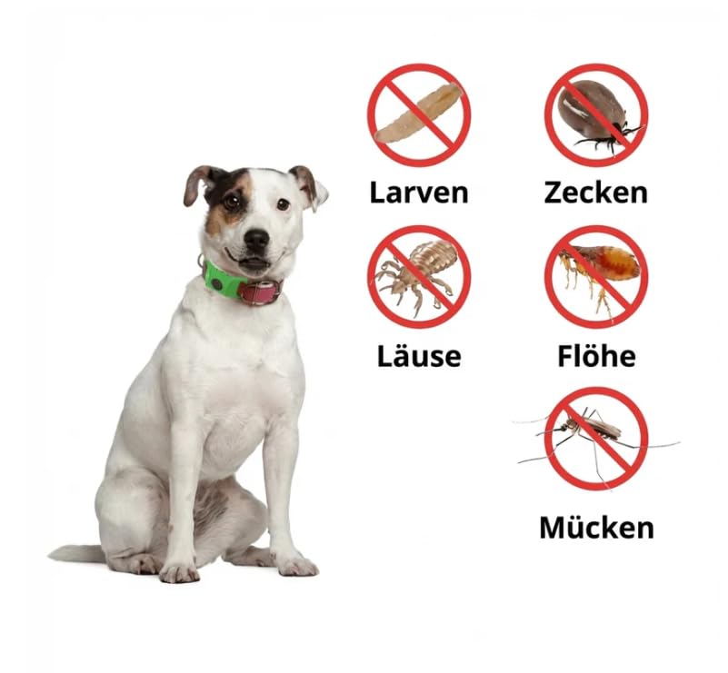 Flofrei Naturschutz-Anhanger - 12 Monate Schutz Vor Flohen,Zecken & Parasiten(Black)