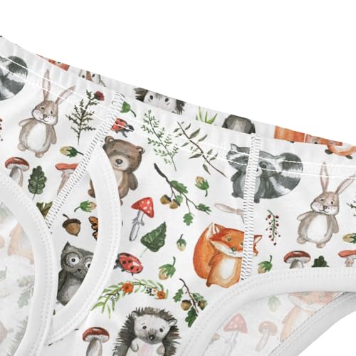 Boys' Exclusive Briefs Toddler Underwear 95% Combed Cotton Boxerbriefs 2T Forest Animal Pattern Woodland 374