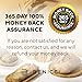 Complete Bread Proofing Baskets Set - Premium Quality Kit for Sourdough Bread Making - Includes 9
